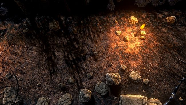 The Fable of a Rabbit