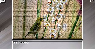 Super Jigsaw Puzzle: Generations - Birds 2