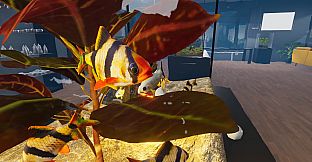 Aquarist - Asian Fish DLC