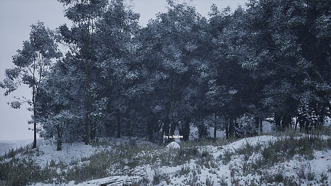 Stone Simulator – Just Be a Rock