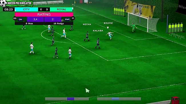 Soccer Pro Simulator