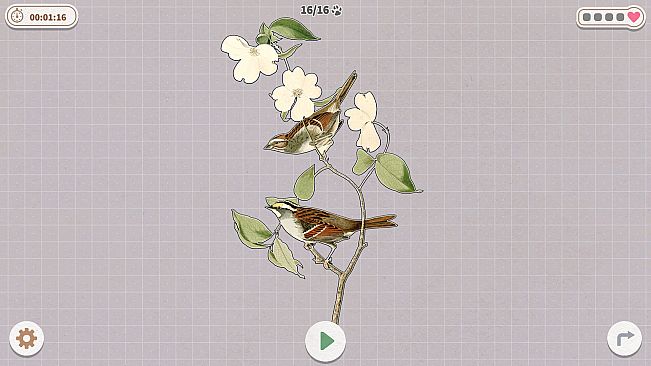 Birds Huddled Together