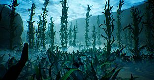 Tidepool