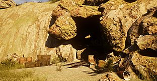 A Rabbit and the Mystic Fog