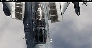 DCS: F-14B(U) by Heatblur Simulations