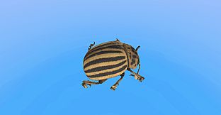 Retropy VR: Amazing Insects #1