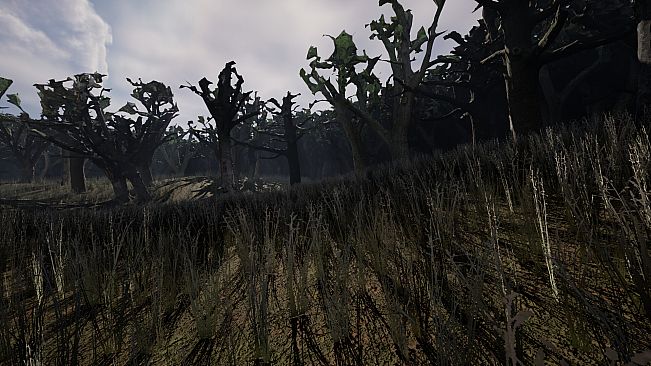 VMVA - Virtual Museum for Virtual Art