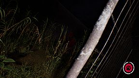 TOTO ZOO | Chapter ZERO