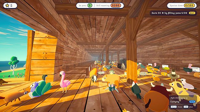 Tidy Up the Ark