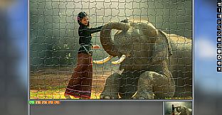 Jigsaw Puzzle Pack - Pixel Puzzles Ultimate: Variety Pack 14