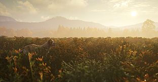 theHunter: Call of the Wild - Labrador Retriever