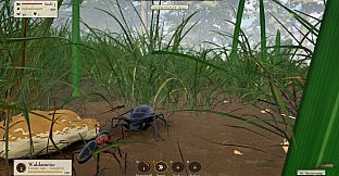 Ant Now?