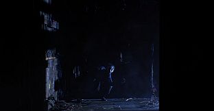 The Twilight Project