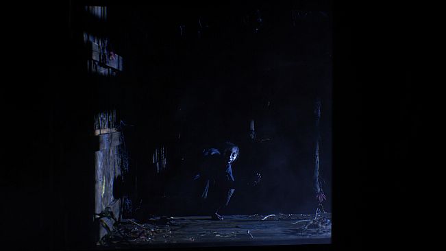 The Twilight Project