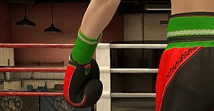 The Thrill Of The Fight 2 - Victory Gear Gloves