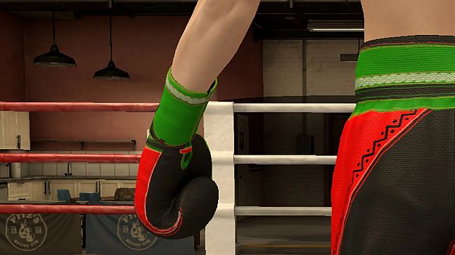 The Thrill Of The Fight 2 - Victory Gear Gloves