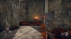 Hunted Within: The Walls