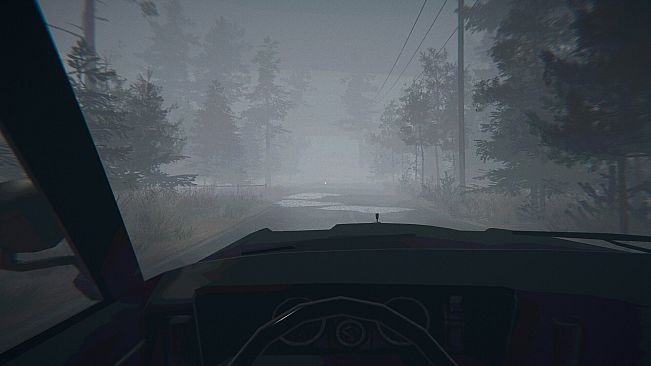 Midnight Files - Missing in Forest Lake