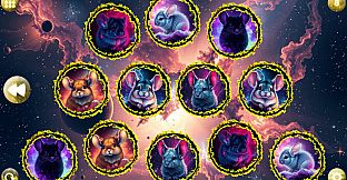 Space Memory: Chinchillas