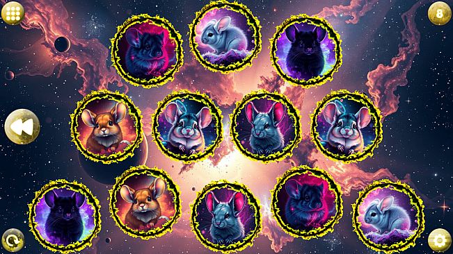 Space Memory: Chinchillas