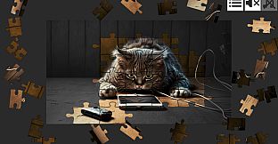 Cat Jigsaw Puzzle Games