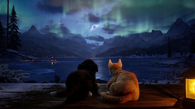 Cold Paws