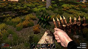 Sacrifice of The Spirit