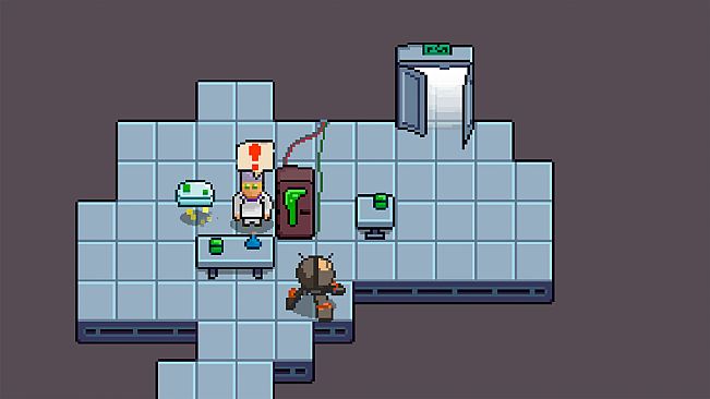 The Visitor Effect: Not an experiment