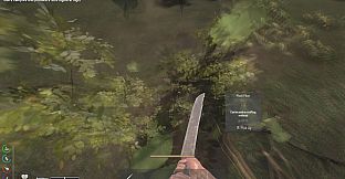 The Seekers: Survival