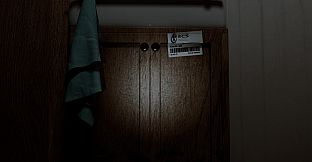 PROPERTY INSPECTION