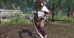 WARRIORS OROCHI 4/無双OROCHI３ - Legendary Weapons Samurai Warriors Pack 4