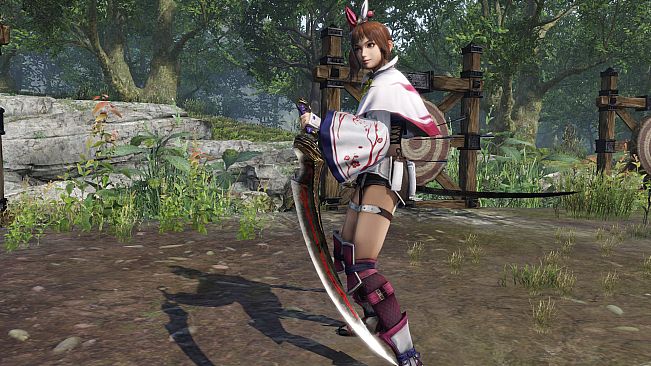 WARRIORS OROCHI 4/無双OROCHI３ - Legendary Weapons Samurai Warriors Pack 4