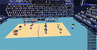 National Volley