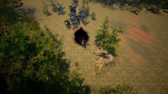 Shades Of Rayna - Mage Class