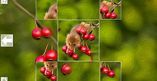 Puzzle Art: Rodents