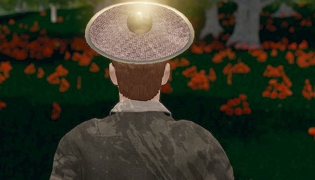 Hide and Seek - Chinese Hat