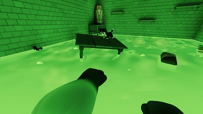 Catch Meow If You Can