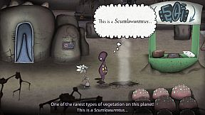 non - The First Warp