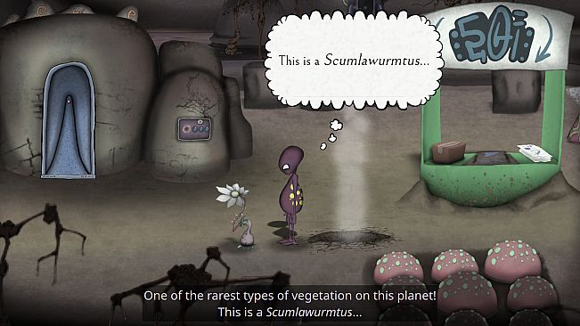 non - The First Warp