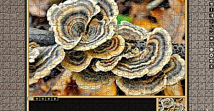 Pixel Puzzles Traditional Jigsaws Pack: Forests