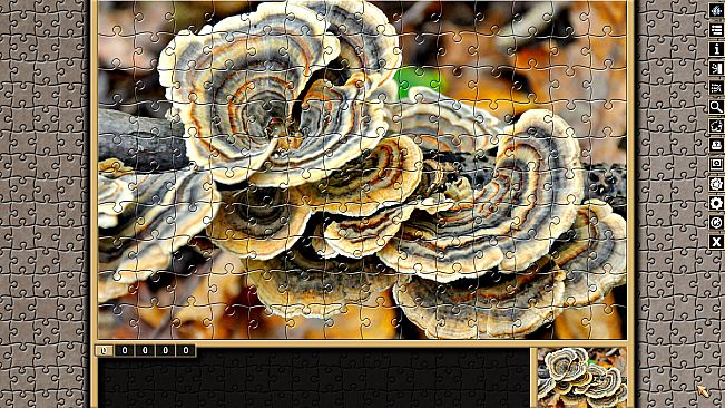 Pixel Puzzles Traditional Jigsaws Pack: Forests