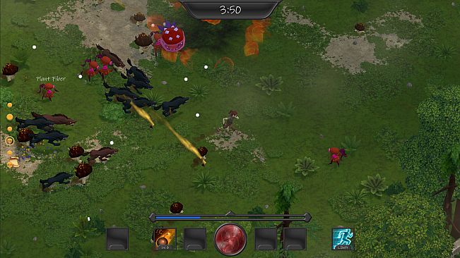 Survivors of Cloudacre