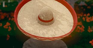 Hide and Seek - Sombrero