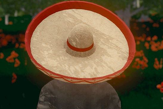 Hide and Seek - Sombrero