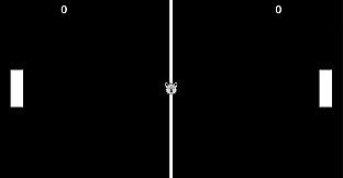 Endless Furry Ping-Pong