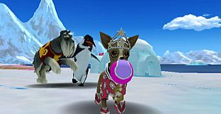 Jerry Rice & Nitus' Dog Football