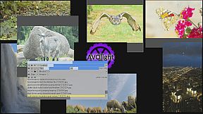 1 multi screen media player gallery video wall photo slideshow wizard app