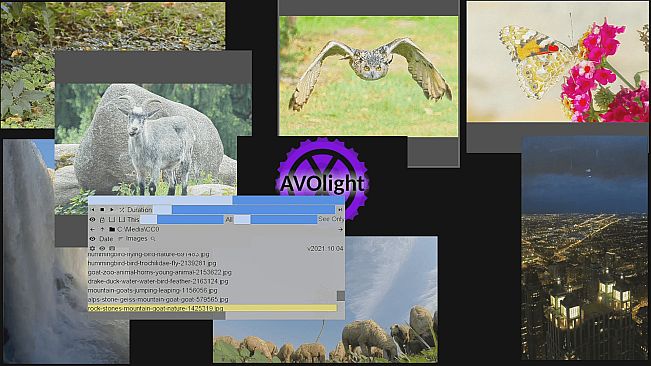 1 multi screen media player gallery video wall photo slideshow wizard app