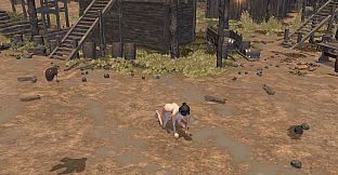 Catch the Witch