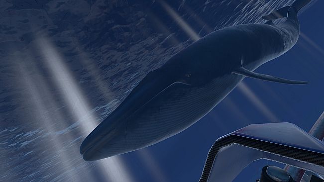 Epic Roller Coasters — Antarctica